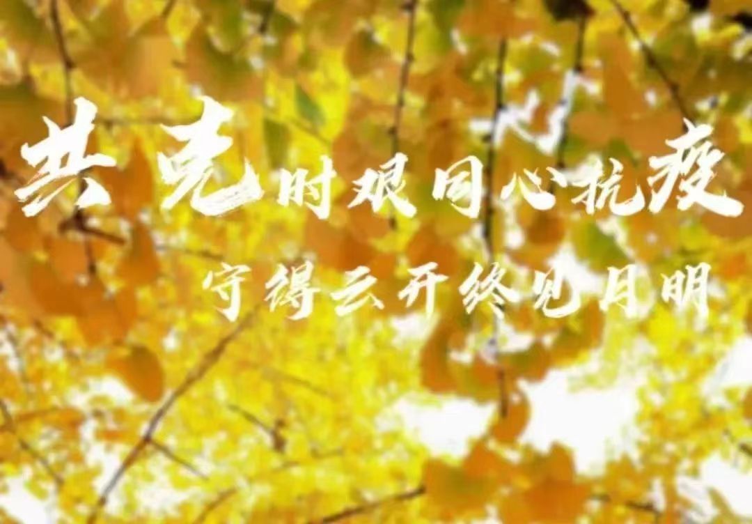 伟德BETVLCTOR